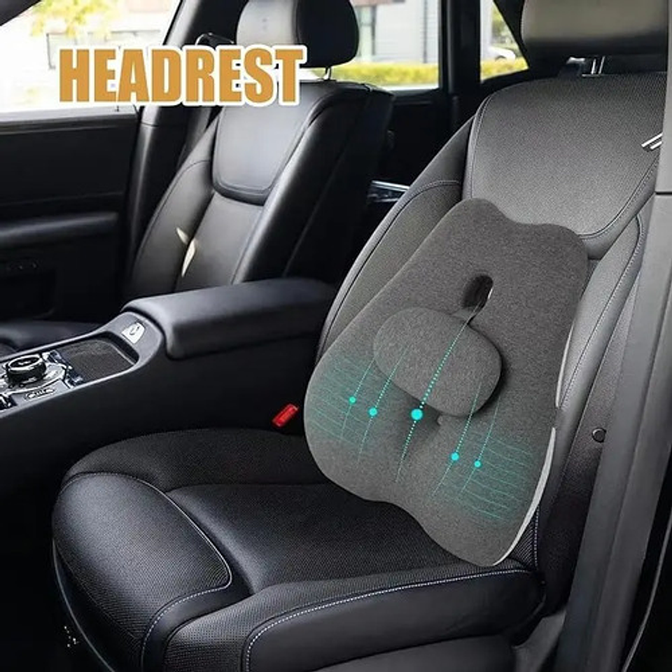 Cojín Lumbar Ortopédico Para Espalda Soporte Dorsal 9