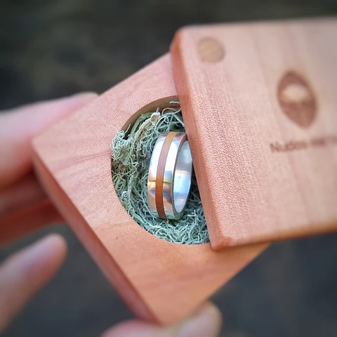 Argolla de Plata y Picoyo