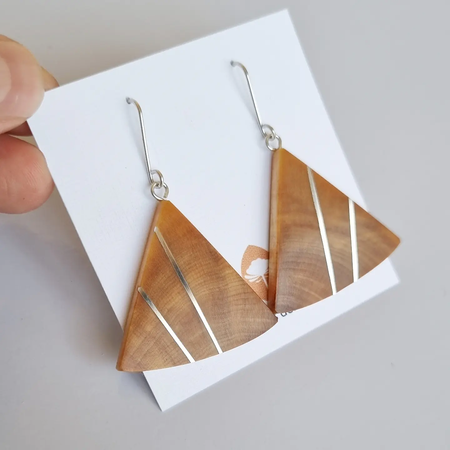 Aros  Picoyo y plata  1