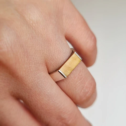 Anillo de Plata y Picoyo