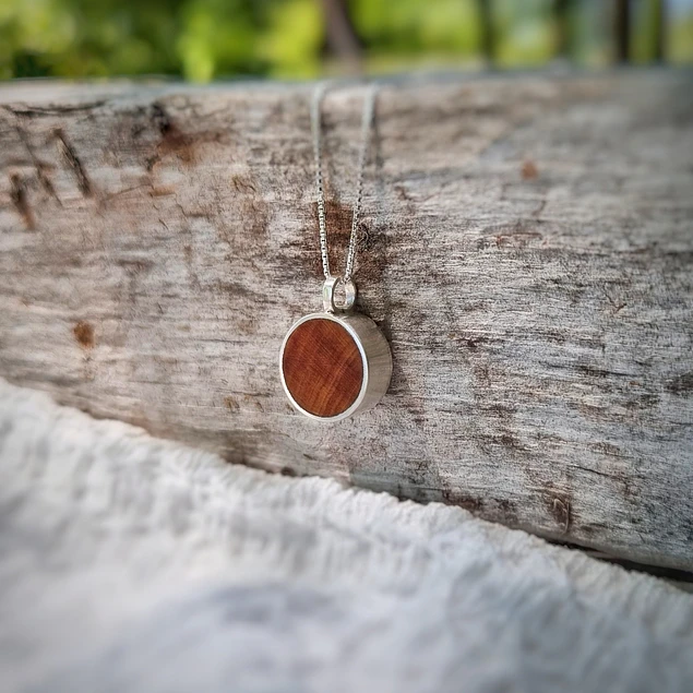 Colgante de plata y picoyo