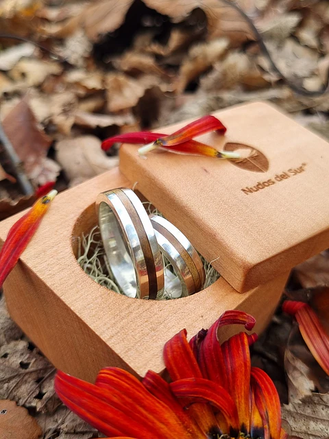 Argolla de Plata y Picoyo