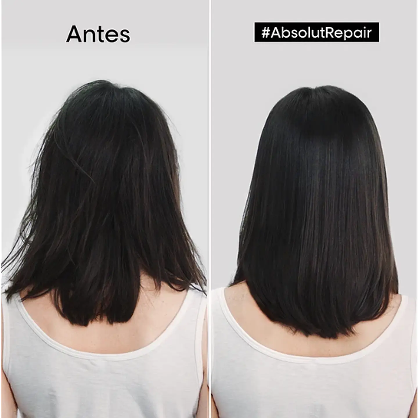 Loreal expert absolut repair máscara 2021 250ml 2