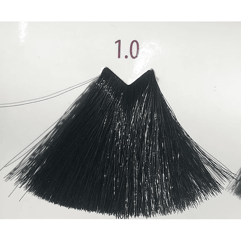 TINT FARMAVITA LIFE COLOR PLUS 100ML 1.0 Negro