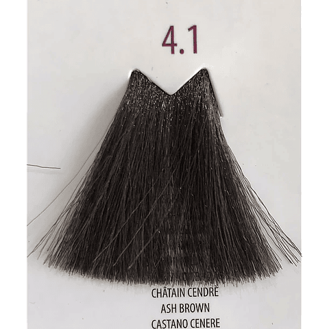 TINT FARMAVITA LIFE COLOR PLUS 100ML 4.1 Castaño Ceniza