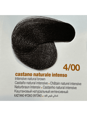 INNOVATION EVO 100 ML CASTAÑO NAT INTENS 4/00 