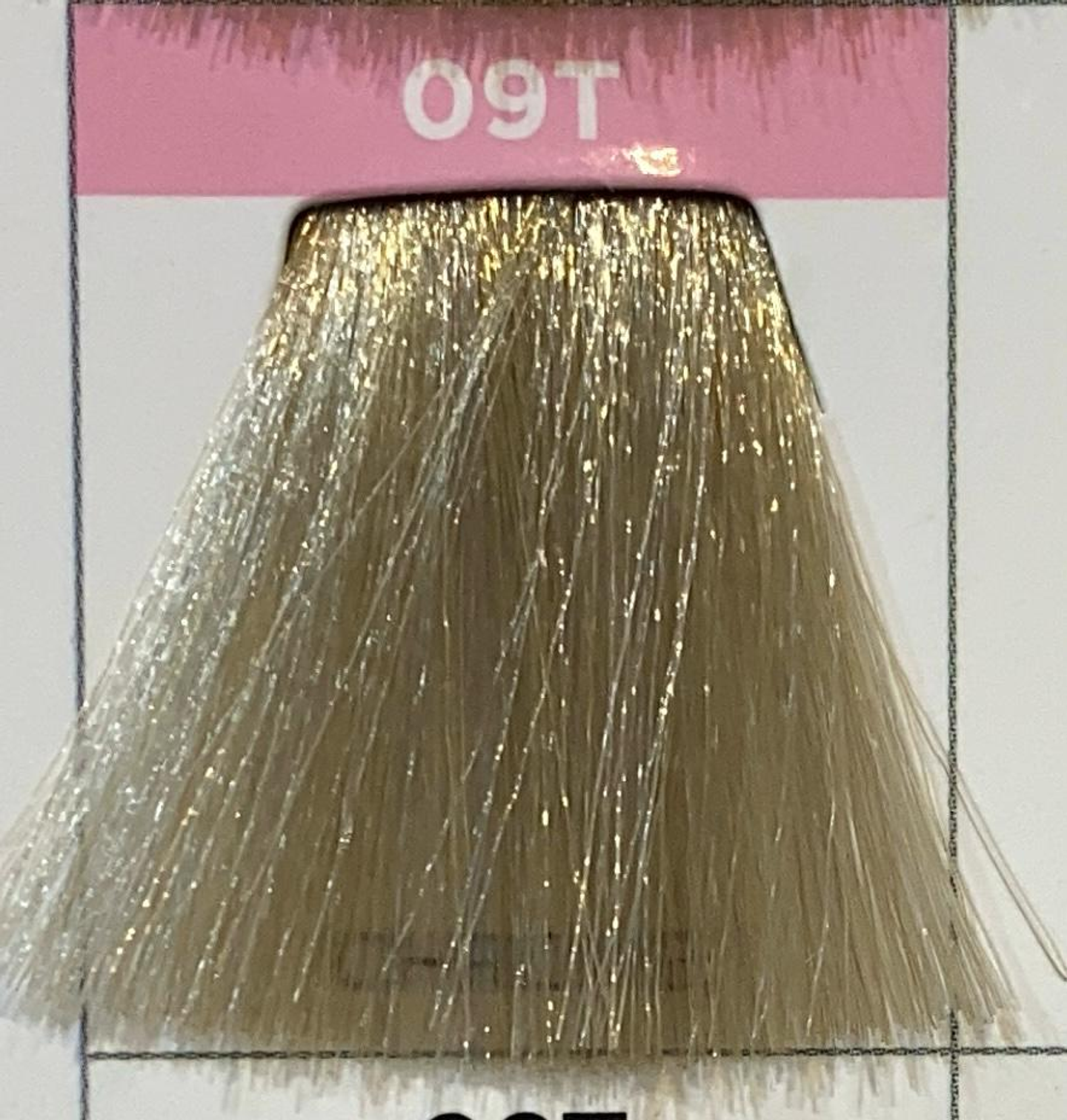 RK SHADES EQ 09T CHROME 60ML  2