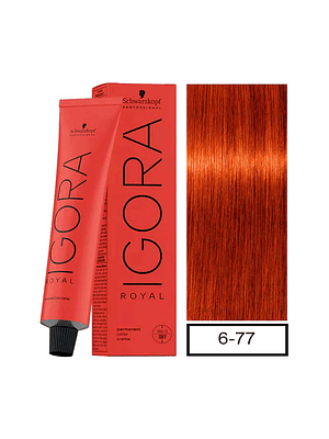 IGORA 60ML RUBIO OSC. COBRIZO INTEN. 6-77 