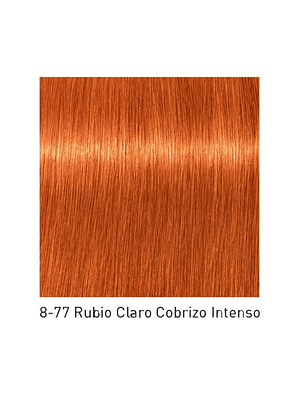 IGORA 60ML RUBIO CLARO COBR. INTENSO 8-77 