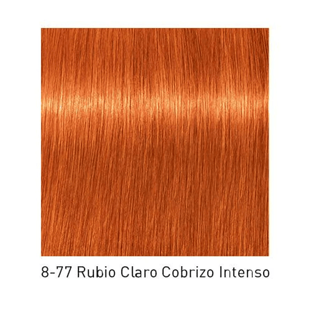 IGORA 60ML RUBIO CLARO COBR. INTENSO 8-77 