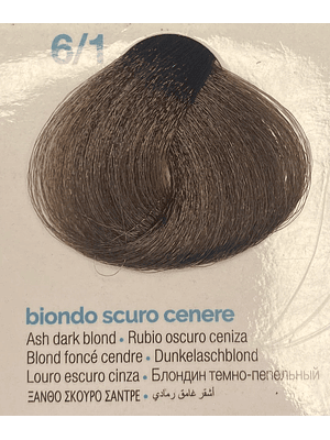 TINTURA PRO.COLOR 95G 6/1 rubio oscuro ceniza