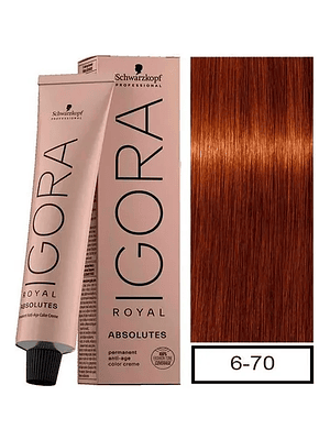 IGORA ROYAL ABSOLUTES 6-70 RUBIO OSCURO COBRIZO NATURAL 60ML 