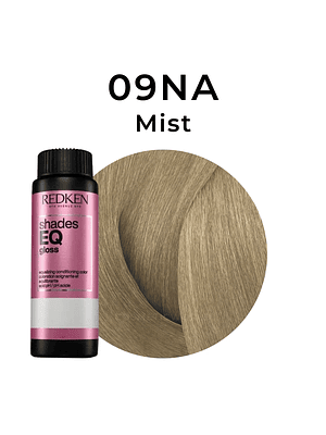 REDKEN SHADES EQ 09NA  