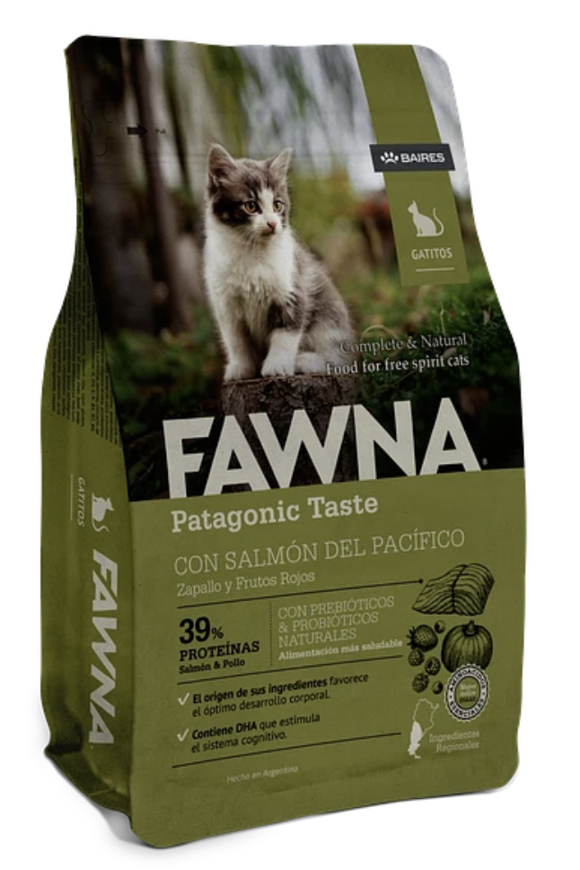 Fawna Gato Kitten