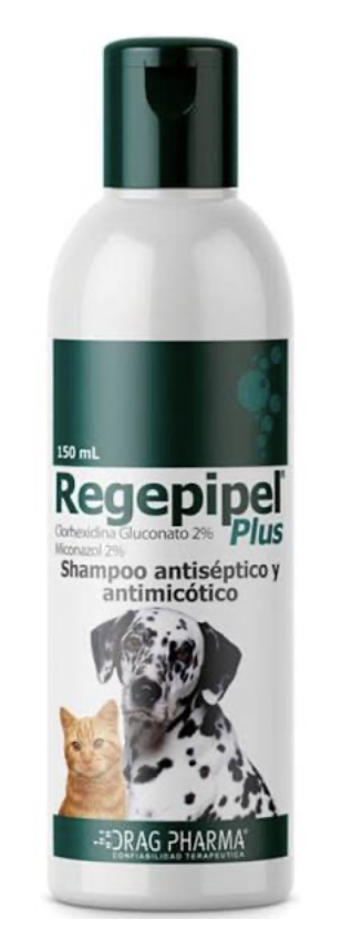 Drag Pharma Regepipel Plus