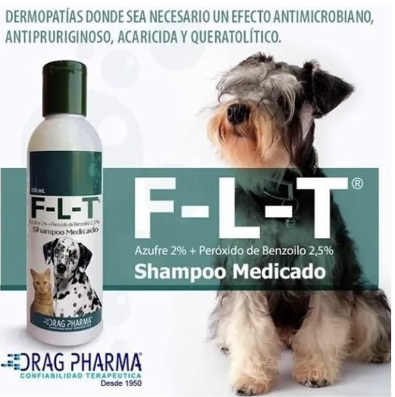 FLT SHAMPOO MEDICADO