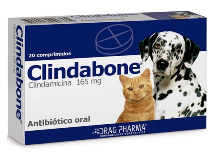 Clindabone