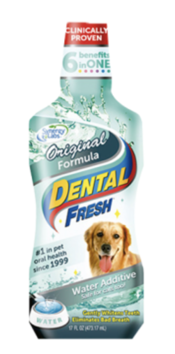 Dental Fresh