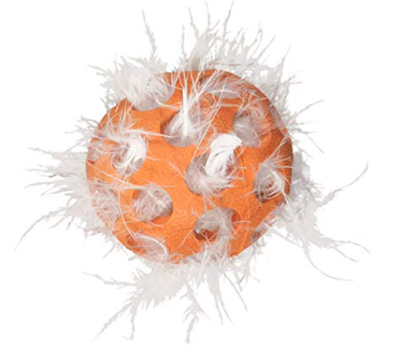 JW CATACTION PELOTA
