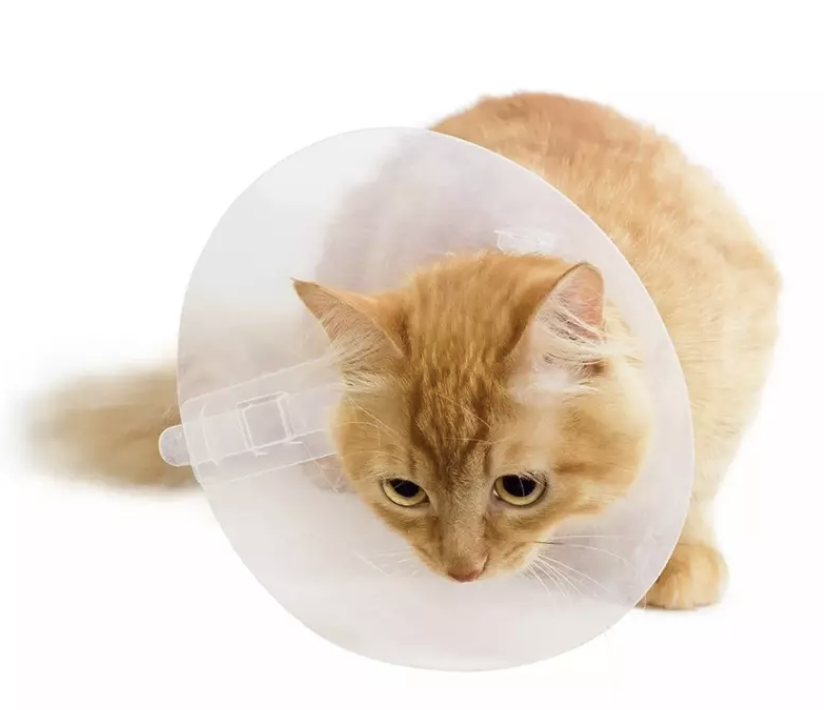 Kerbl Collar Isabelino Flexible