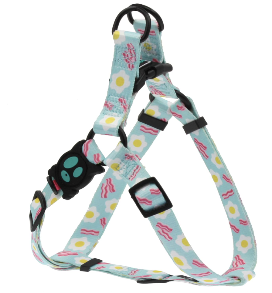 Arnés para perro Doco Loco Talla S (DCL202-ES) Hologram