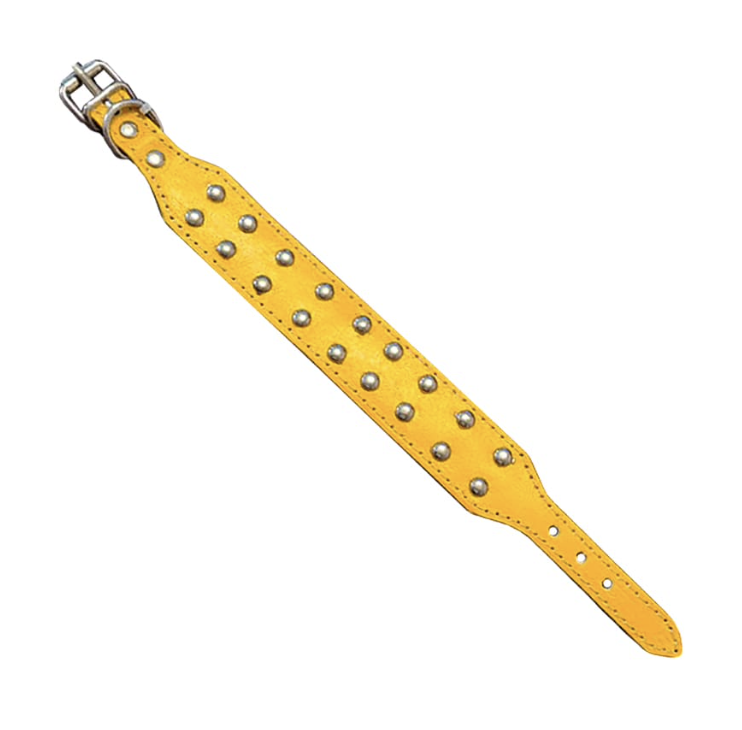 Donkan Collar Tachas