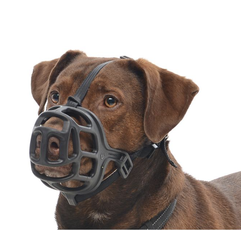 Kruuse Buster Bozal