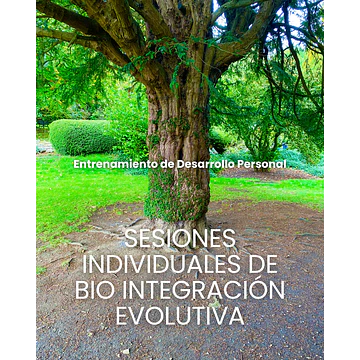 Terapia Bio Integración Evolutiva Online / Presencial
