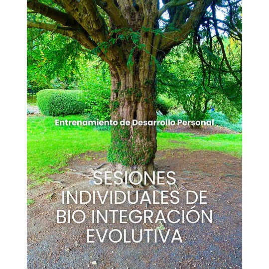 Terapia Bio Integración Evolutiva Online / Presencial
