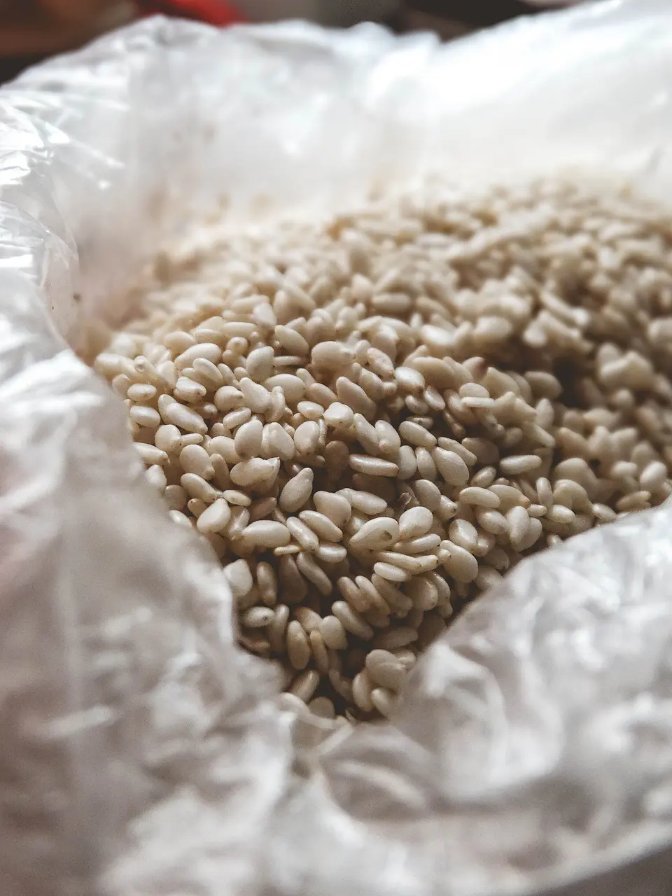 Semillas de Sésamo Tostado Blanco 1 kg 1