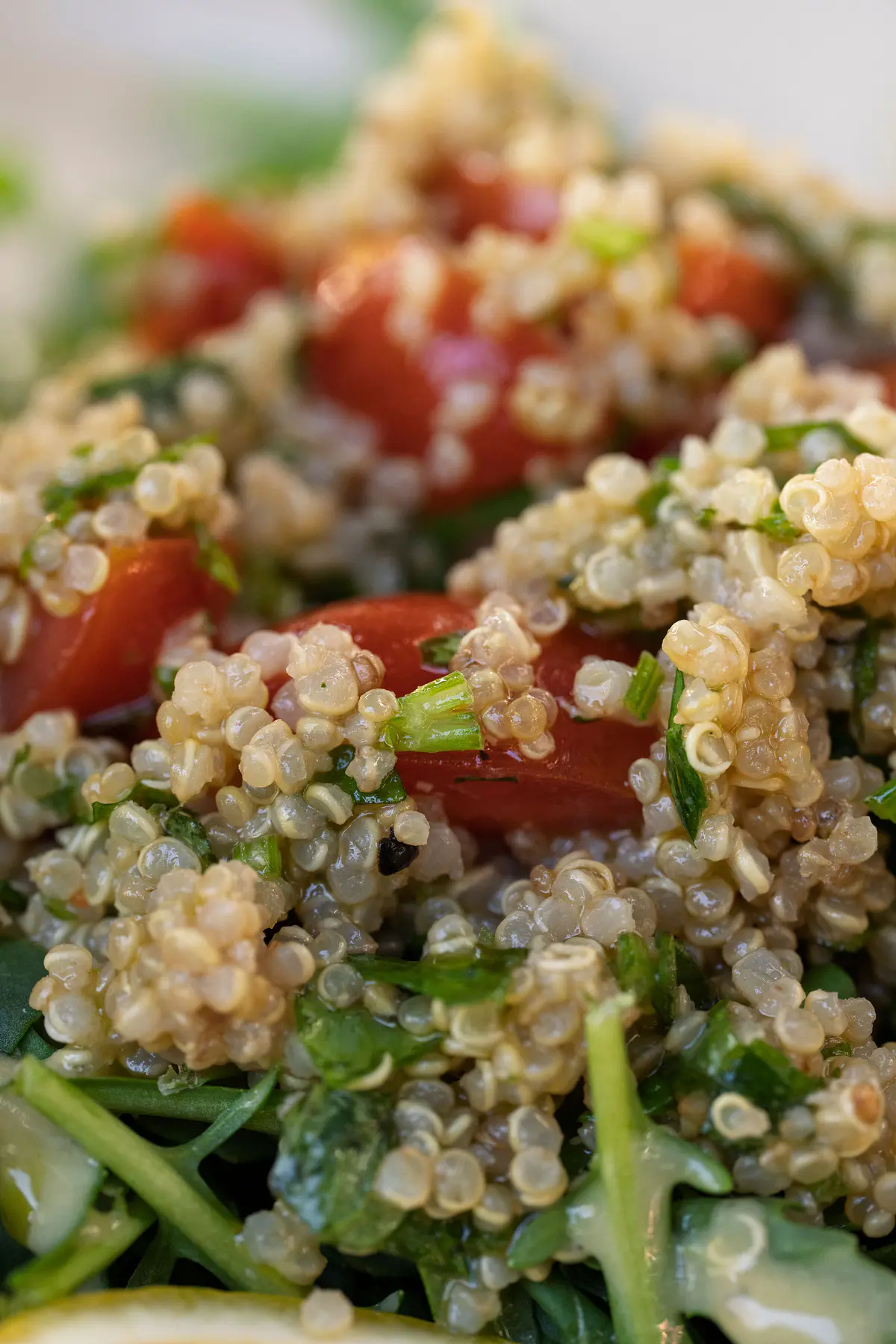 Quinoa