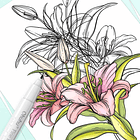 OHUHU 8 MARCADOR TIRALÍNEAS PARA DIBUJO.  7