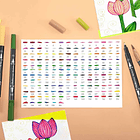 OHUHU MAUI 160 MARCADORES A BASE DE AGUA PINCEL&FINELINER 4