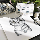 OHUHU 36 MARCADORES DE ALCOHOL GRISES + 1 BLENDER PINCEL BISELADA 4