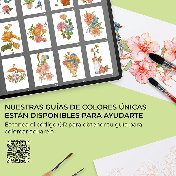 GRABIE CLUB BOX CAJA PARA COLOREAR CON ACUARELA DE TEMÁTICA FLORAL  7