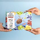 GRABIE CLUB BOX CAJA PARA COLOREAR CON ACUARELA DE TEMÁTICA OCÉANO  6