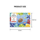 LIBRO PARA COLOREAR DE ACUARELA CON TEMÁTICA OCEÁNICA (15 HOJAS 300 GSM)  3