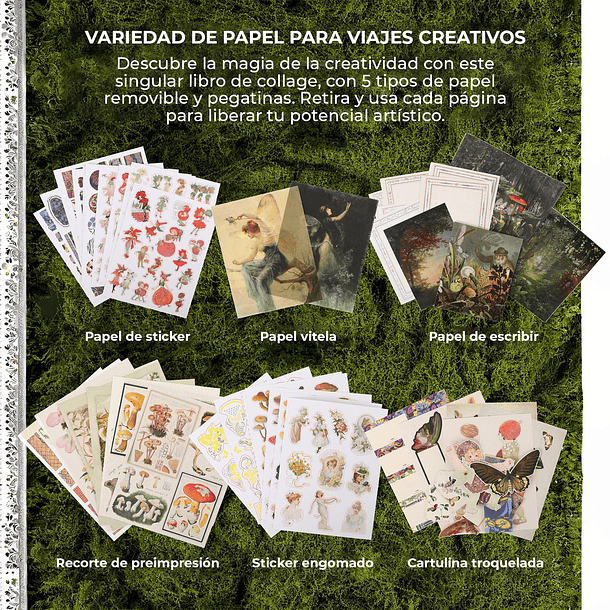 LIBRO DE ACTIVIDADES DE COLLAGE LA MUSA BOTÁNICA DE MÁS DE 200 PÁGINAS  3
