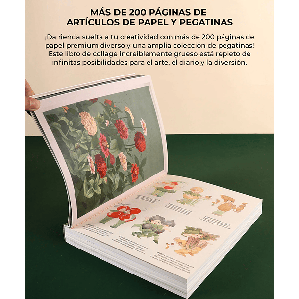 LIBRO DE ACTIVIDADES DE COLLAGE LA MUSA BOTÁNICA DE MÁS DE 200 PÁGINAS  2