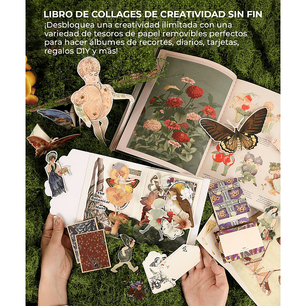 LIBRO DE ACTIVIDADES DE COLLAGE LA MUSA BOTÁNICA DE MÁS DE 200 PÁGINAS  5