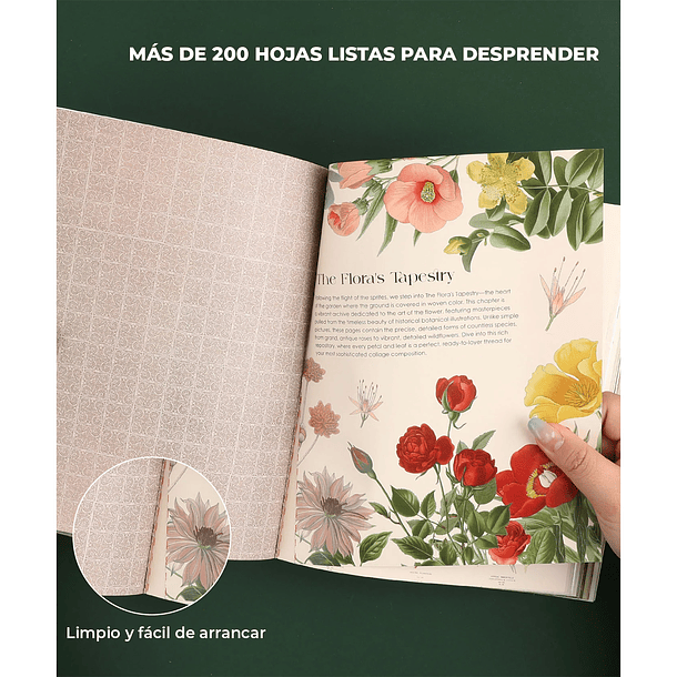 LIBRO DE ACTIVIDADES DE COLLAGE LA MUSA BOTÁNICA DE MÁS DE 200 PÁGINAS  7