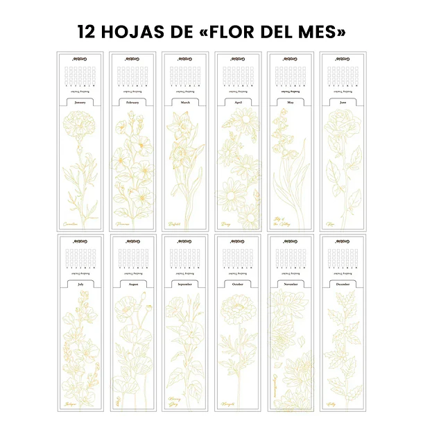 12 MARCAPÁGINAS PARA COLOREAR 100% ALGODÓN DE 300 G/M² – EDICIÓN FLORES 4