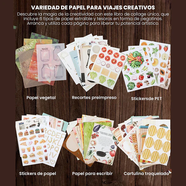Libro de Actividades y Collage 