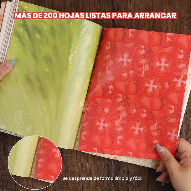 Libro de Actividades y Collage 