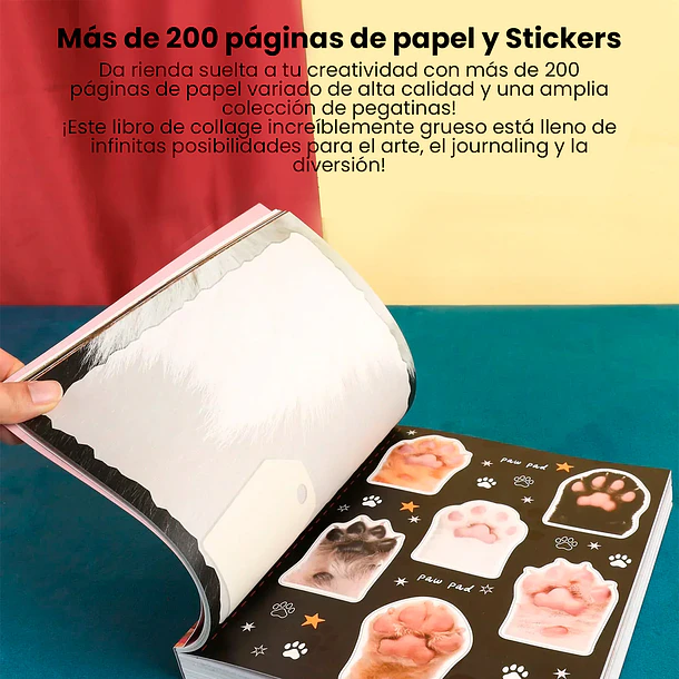 Libro de Actividades y Collage 