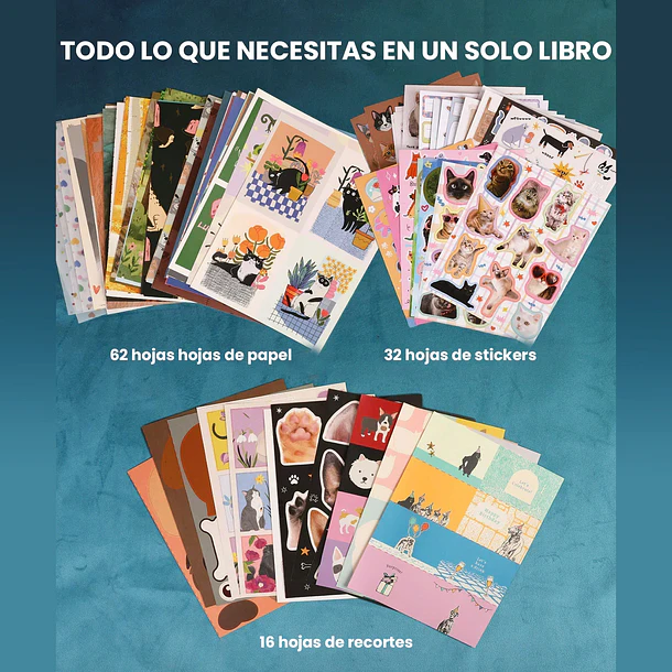 Libro de Actividades y Collage 