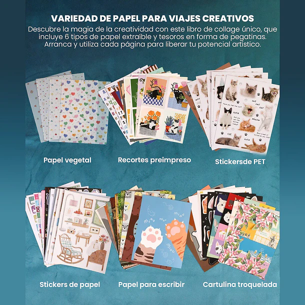 Libro de Actividades y Collage 