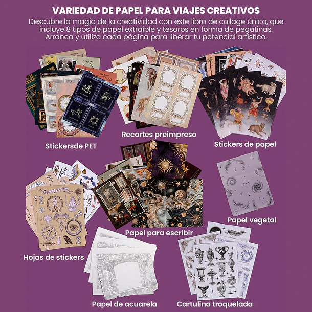 Libro de Actividades y Collage 