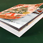 Libro de Actividades y Collage 