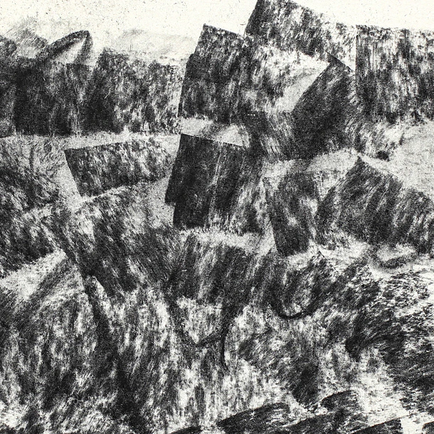 BARRAS DE CARBÓN DE SAUCE MIYA 20 PIEZAS 120 × 5–7 MM 4